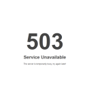 What is a 503 service unavailable error?