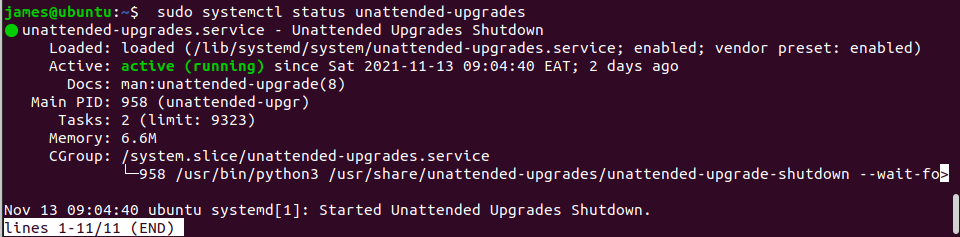 Set up automatic unattended updates for ubuntu 20. 04