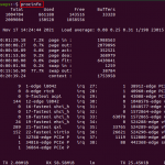 Procinfo command in linux explained