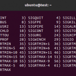 How do you kill a process in ubuntu terminal?