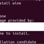 How to run windows software on linux