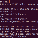 How to check the ip address in ubuntu