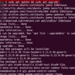 How to install vagrant on ubuntu 22. 04