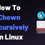 How to chown recursively on linux server