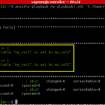 Using variables in ansible