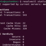 How to flush the dns cache on ubuntu 22. 04