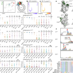 Design and web team summary – 17 june 2022