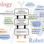 The state of robotics – february & march 2022