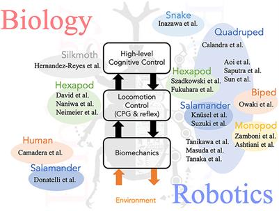 The state of robotics – february & march 2022