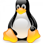 Get the active dns servers on linux