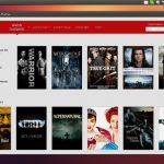 Watching netflix on ubuntu