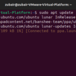 Install wireshark on ubuntu 22. 04