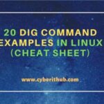 20 dig command examples in linux (cheat sheet)