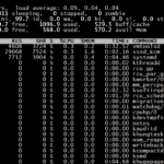 Use of top command in linux