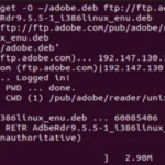 How to install adobe reader on ubuntu 22. 04