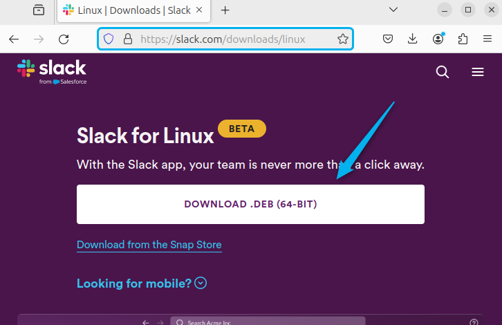 How to install slack on ubuntu 24. 04