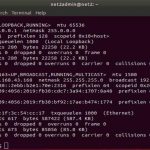 How to configure static and dynamic ip addresses in ubuntu 24. 04 using netplan